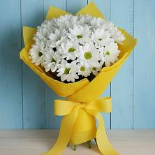 Букет цветов из:  Хризантемы в Вичуге