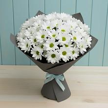 Букет цветов из:  Хризантемы #REPLACE_PRED# Вичуге