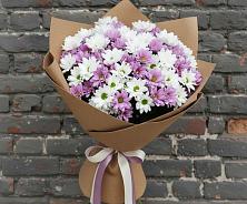 Букет цветов из:  Хризантемы в Вичуге