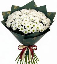 Букет цветов из:  Хризантемы в Вичуге