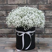 Цветочная композиция из Гипсофила в шляпной коробке #REPLACE_PRED# Вичуге