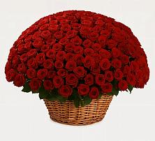 Премиум букет из: Розы в Вичуге